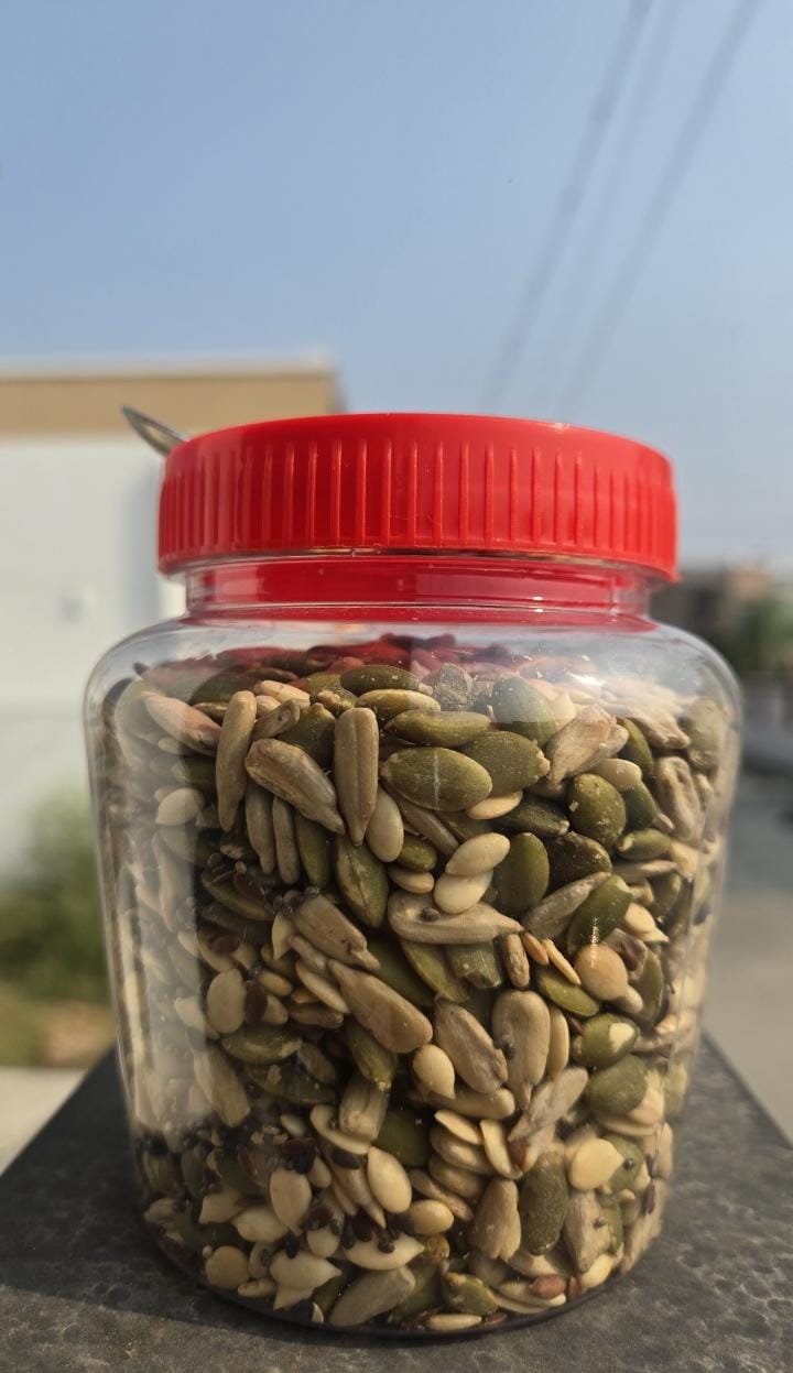 ROASTED SEEDS SNACK
