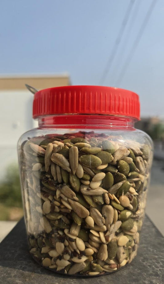 ROASTED SEEDS SNACK