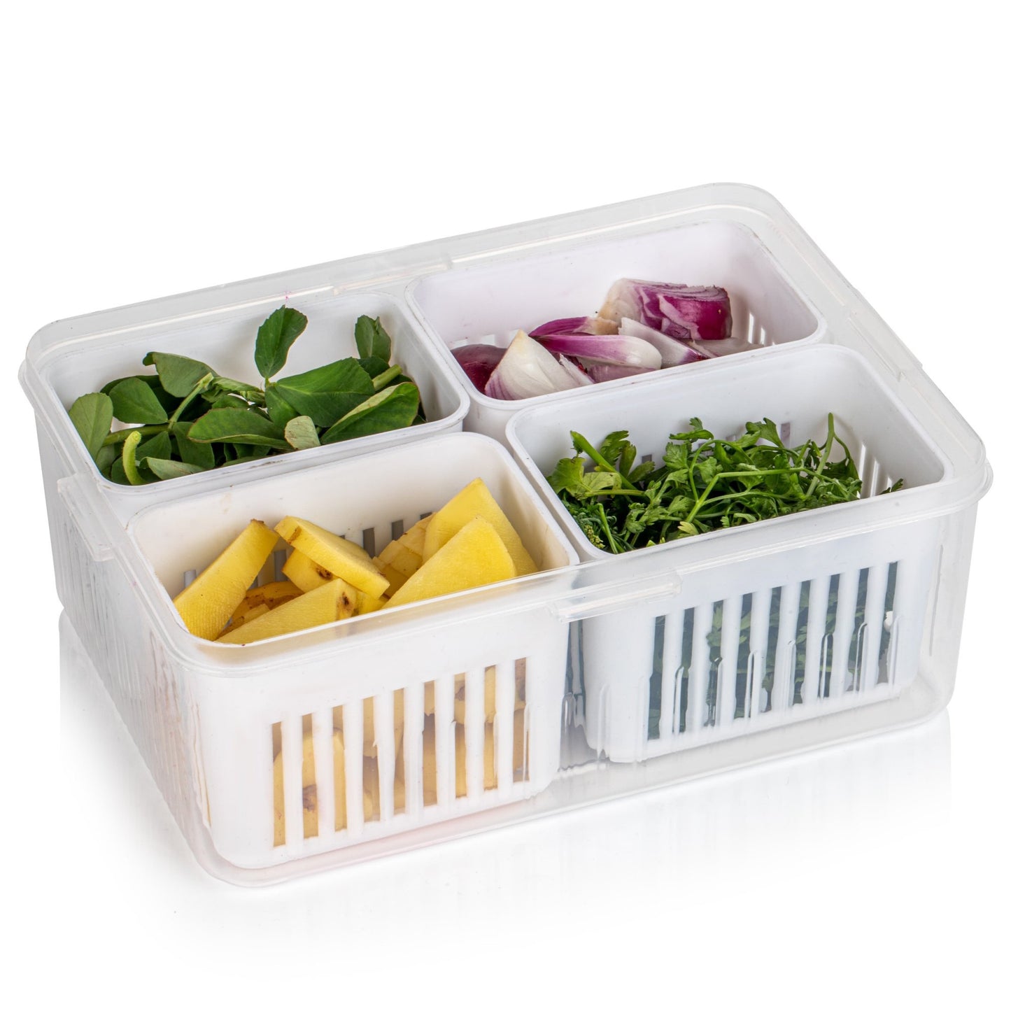 MULTI STORAGE CONTAINER